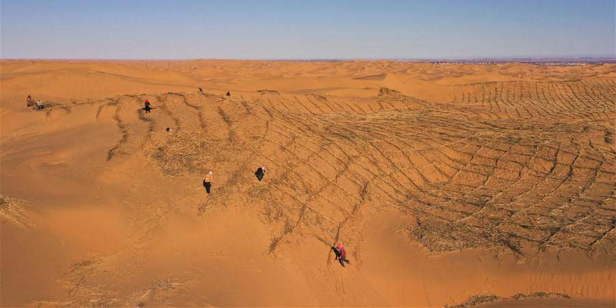 Pessoas retomam trabalhos de construção de barreiras de areia para evitar desertificação na zona adjacente do deserto de Kubuqi