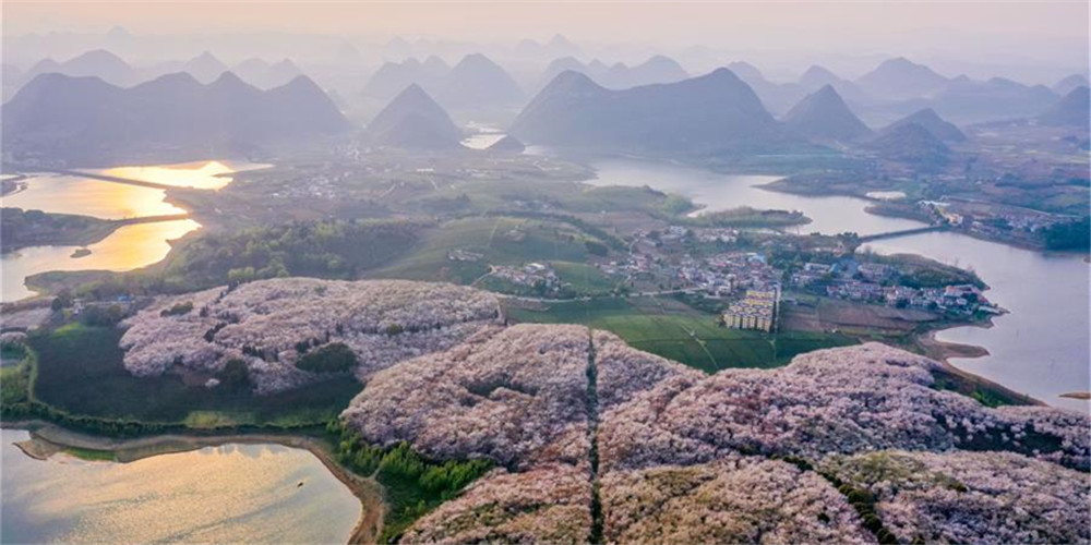 Paisagem de flores de cerejeira em Guizhou, no sudoeste da China