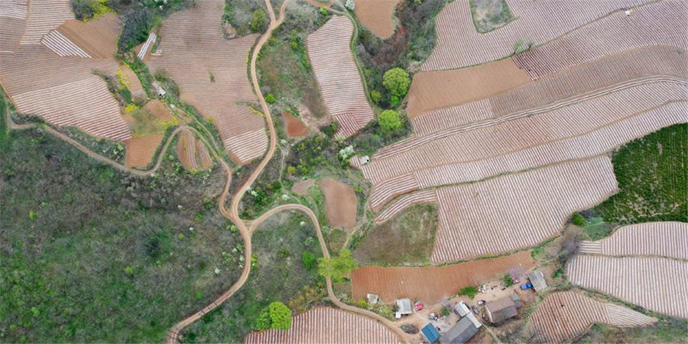 Fotos: terraços na aldeia de Taiping na província de Henan