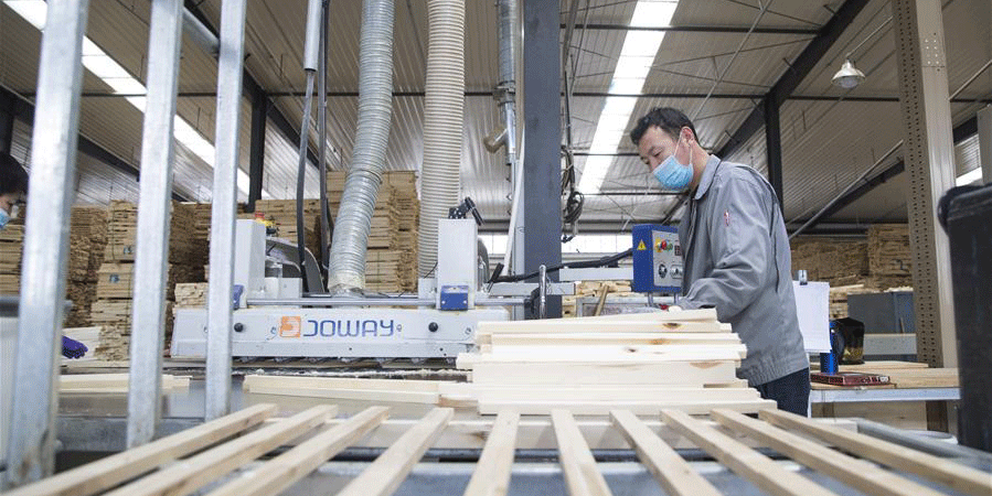 Empresas de processamento de madeira em Heilongjiang retomam produção de maneira ordenada
