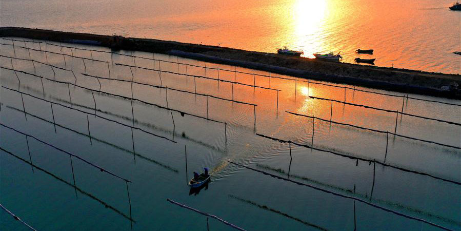 Indústria pesqueira retoma operação de maneira ordenada em Shandong