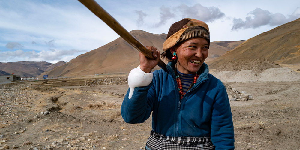 Aldeões trabalham em campo no distrito de Zhaxizom, Tibet