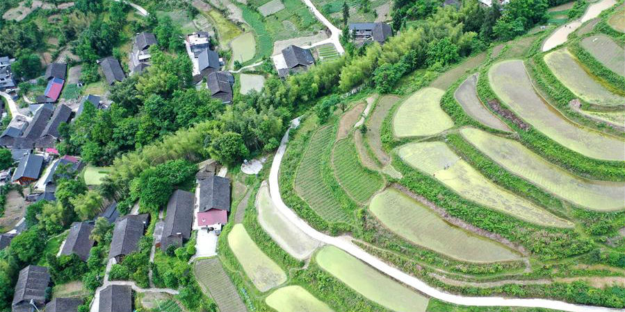 Fotos: terraços em Hubei