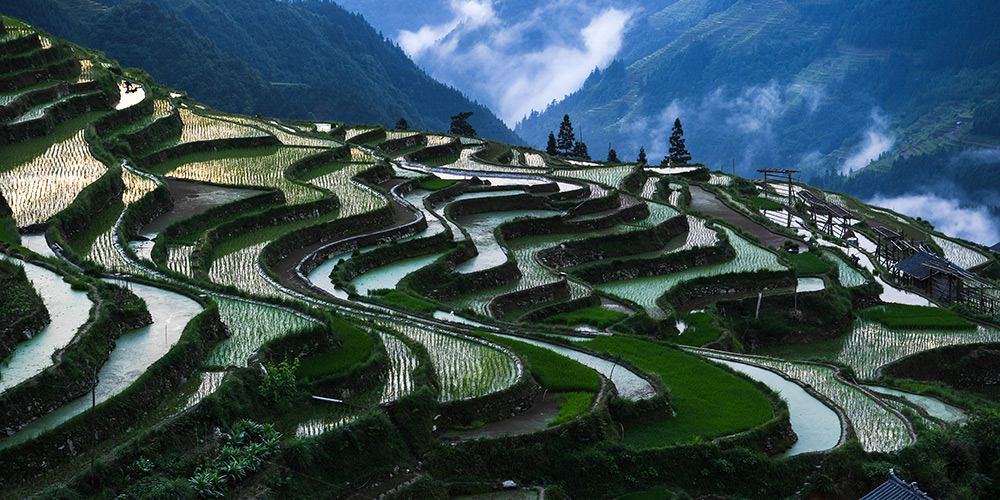 Fotos: Vista de terraços em Jiabang, província de Guizhou
