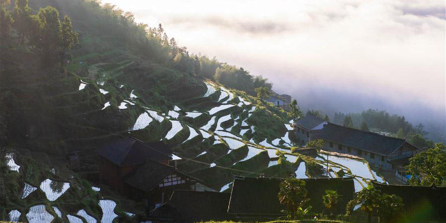 Fotos: paisagem dos terraços Ziquejie em Hunan
