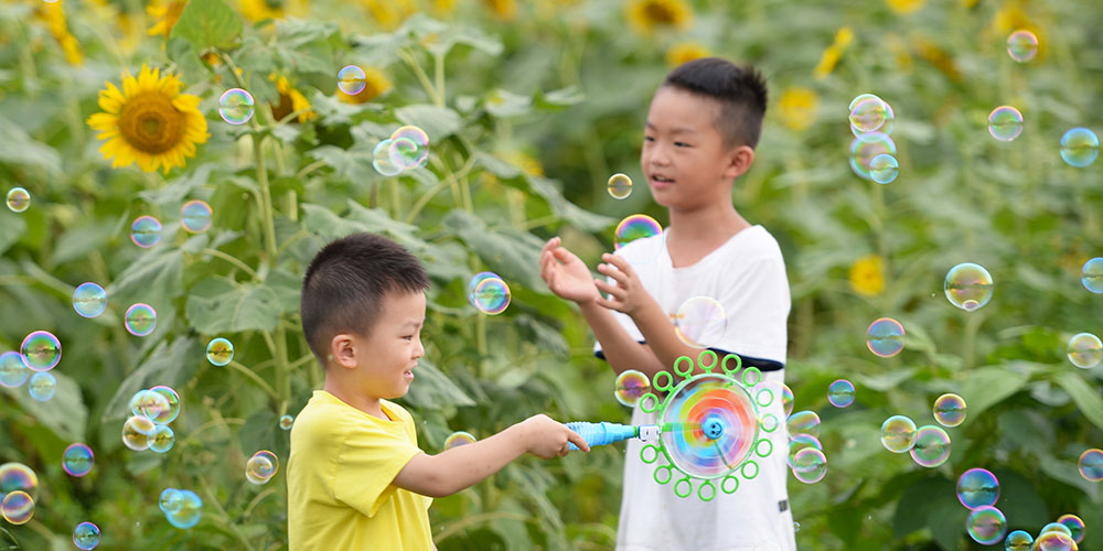 Turistas se divertem em campo de girassóis em Changsha
