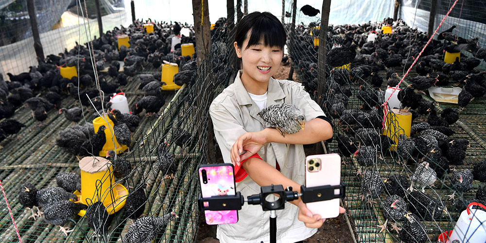 Aumentam as vendas online de produtos agrícolas em Shaanxi