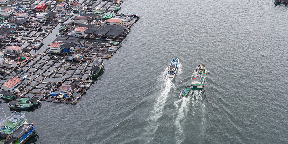 Termina proibi&ccedil;&atilde;o anual de pesca na vila de Xincun, sul da China