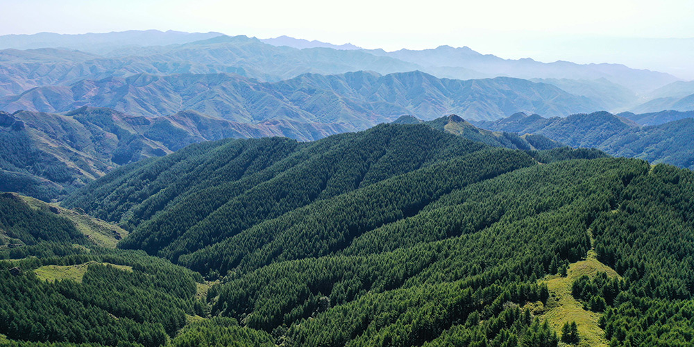 Vista do parque florestal da montanha Sumu na Mongólia Interior