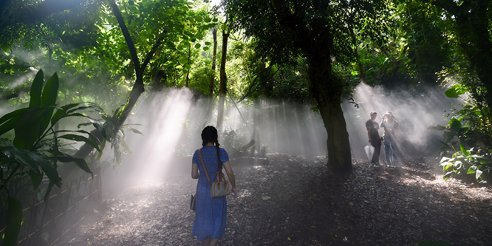 Turistas visitam Jardim Botânico de Xiamen, na província de Fujian