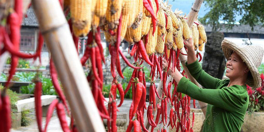 Aldeões secam pimentas-malagueta e milhos na vila de Chengkan, leste da China