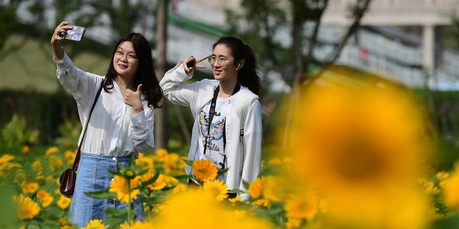 Chineses aproveitam feriado do Dia Nacional