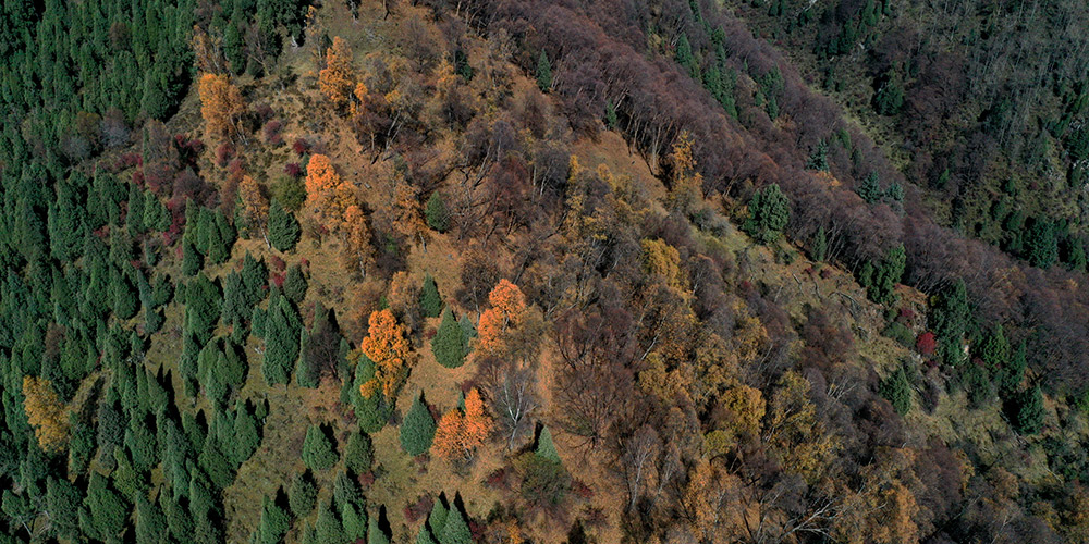 Paisagem de outono no parque geológico nacional Beishan