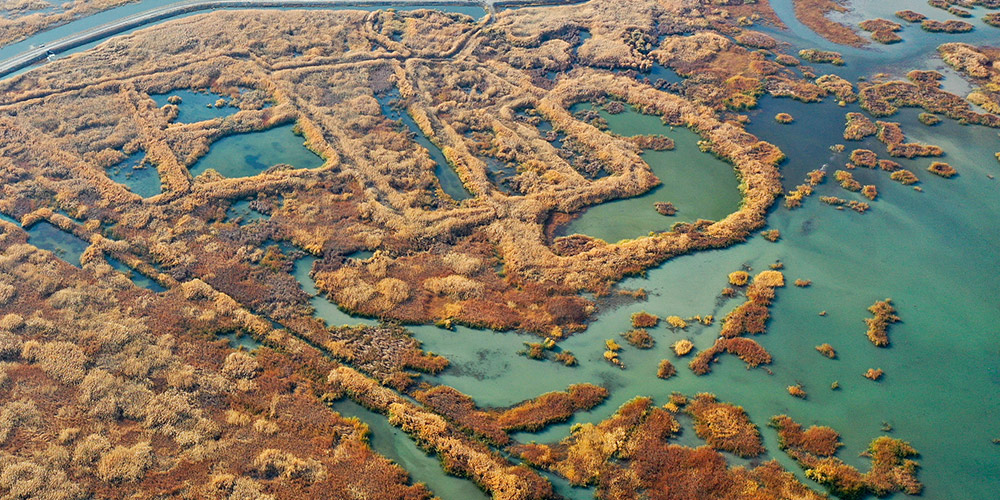 Fotos: paisagem do parque nacional do pântano de Manas