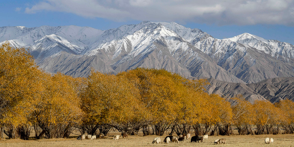 Fotos: paisagem de outono no Distrito Autônomo Tajique de Taxkorgan, em Xinjiang