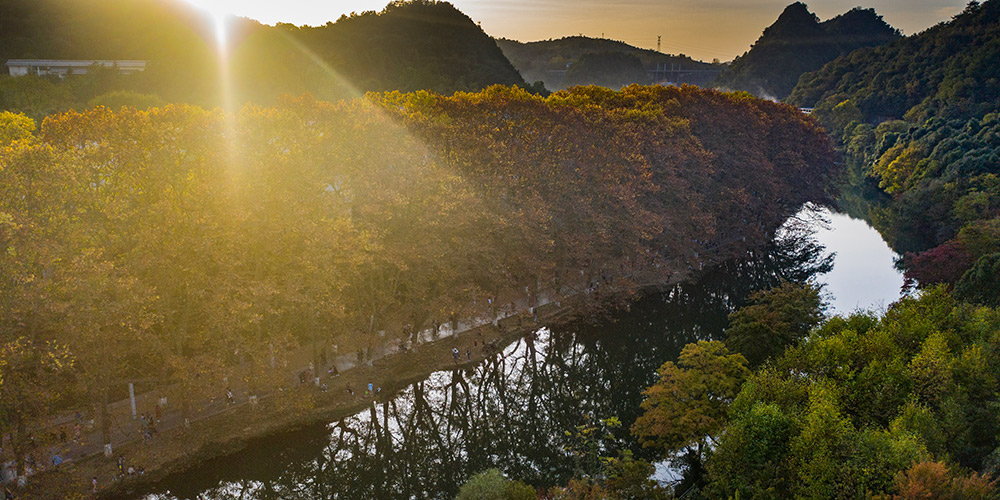 Paisagem de outono do Parque Nacional do Pântano Urbano Huaxi em Guiyang