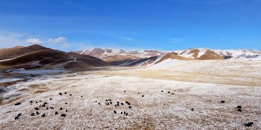 Vista da pastaria de Arou depois de neve, no noroeste da China