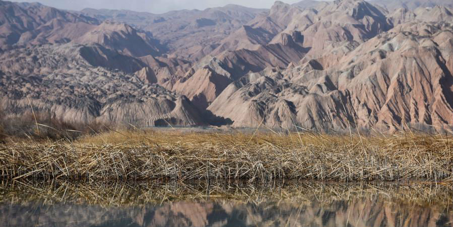 Paisagem do parque do pântano do Lago Qianzi em Qinghai