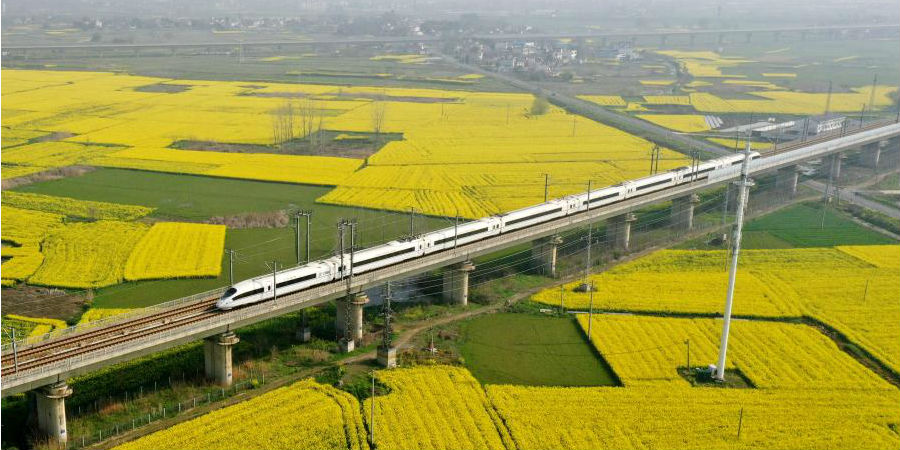 Trem-bala passa por ponte ferroviária sobre campos de flores de colza em Anhui