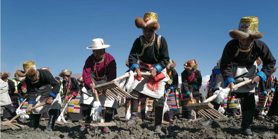 Agricultores realizam cerimônia para marcar início da aragem da primavera no Tibet
