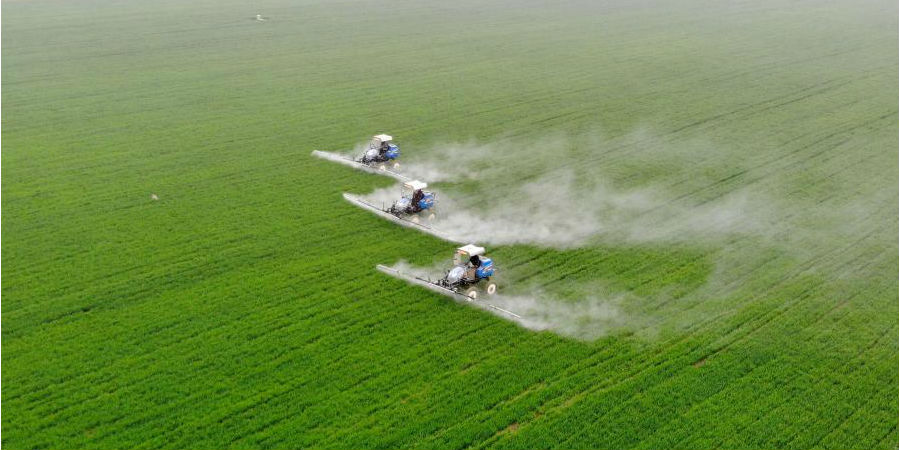 China promove inovação científica agrícola para garantir segurança alimentar