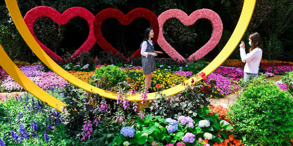 Shenzhen realiza exposição de flores da Grande Área da Baía