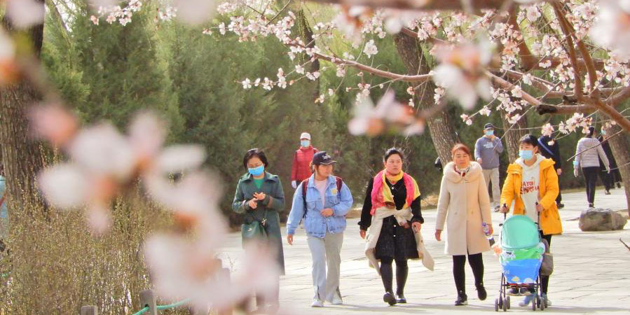 Chegada da primavera alegra quem visita o Palácio de Verão em Beijing