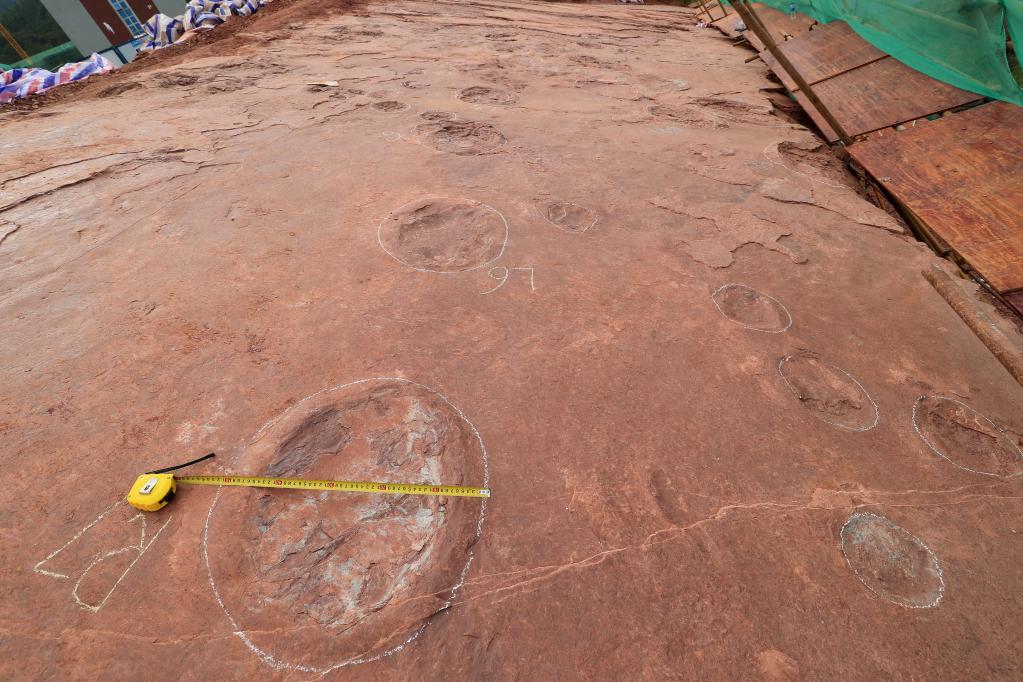 Pegadas de dinossauro recém-descobertas em local de escavação no sudeste da China