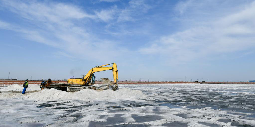 Fotos: extração e colheita de sal marinho em Tianjin