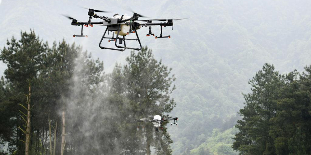 Drones para proteção de plantas tornam o controle de pragas mais eficiente