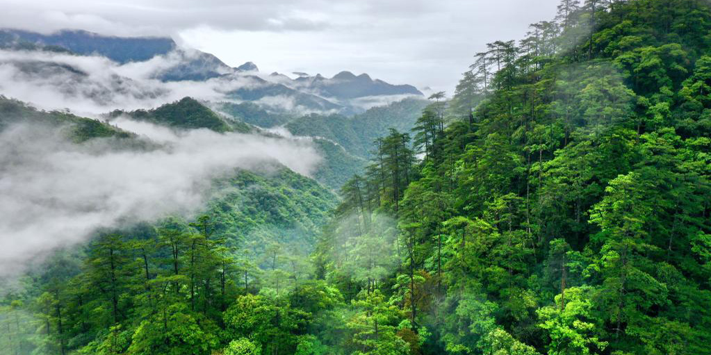Paisagem do Parque Nacional da Montanha Wuyi em Fujian