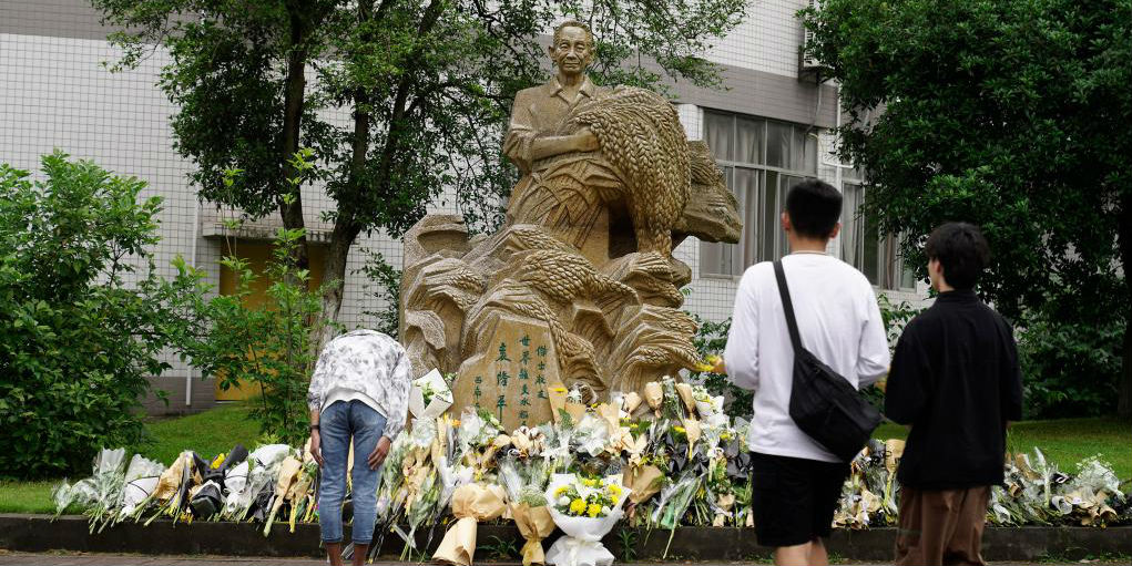 Estudantes chineses lamentam perda do cientista chinês Yuan Longping, o pai do arroz híbrido