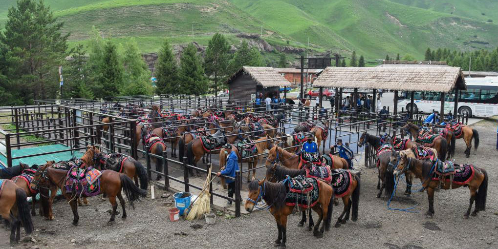 Cooperativa de equipe de cavalos da aldeia Araxan em Xinjiang traz oportunidades de emprego para moradores