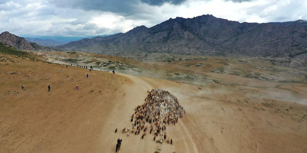 Pastores de Xinjiang transferem gado para pastagens do verão