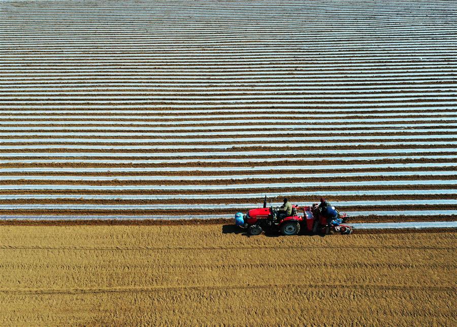 #CHINA-EARLY SPRING-FARMING (CN)
