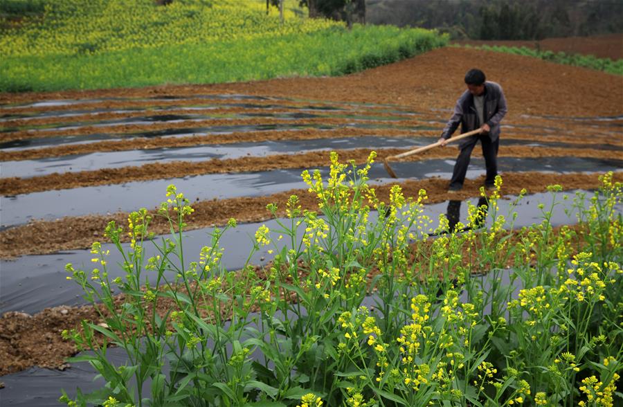 #CHINA-EARLY SPRING-FARMING (CN)