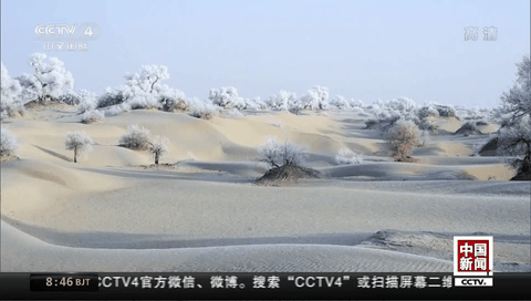 新疆：塔克拉玛干沙漠迎来今年首场雾凇
