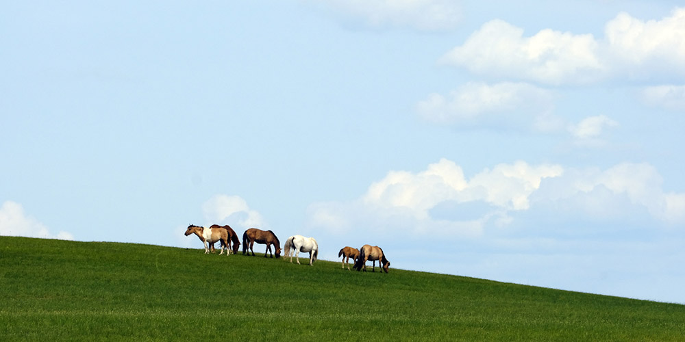 Fotos: paisagem de pradarias na Mongòlia Interior, norte da China