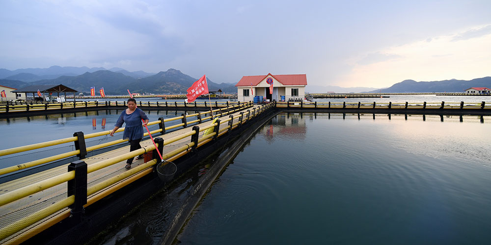 Fotos: zonas de maricultura em Ningde, sudeste da China